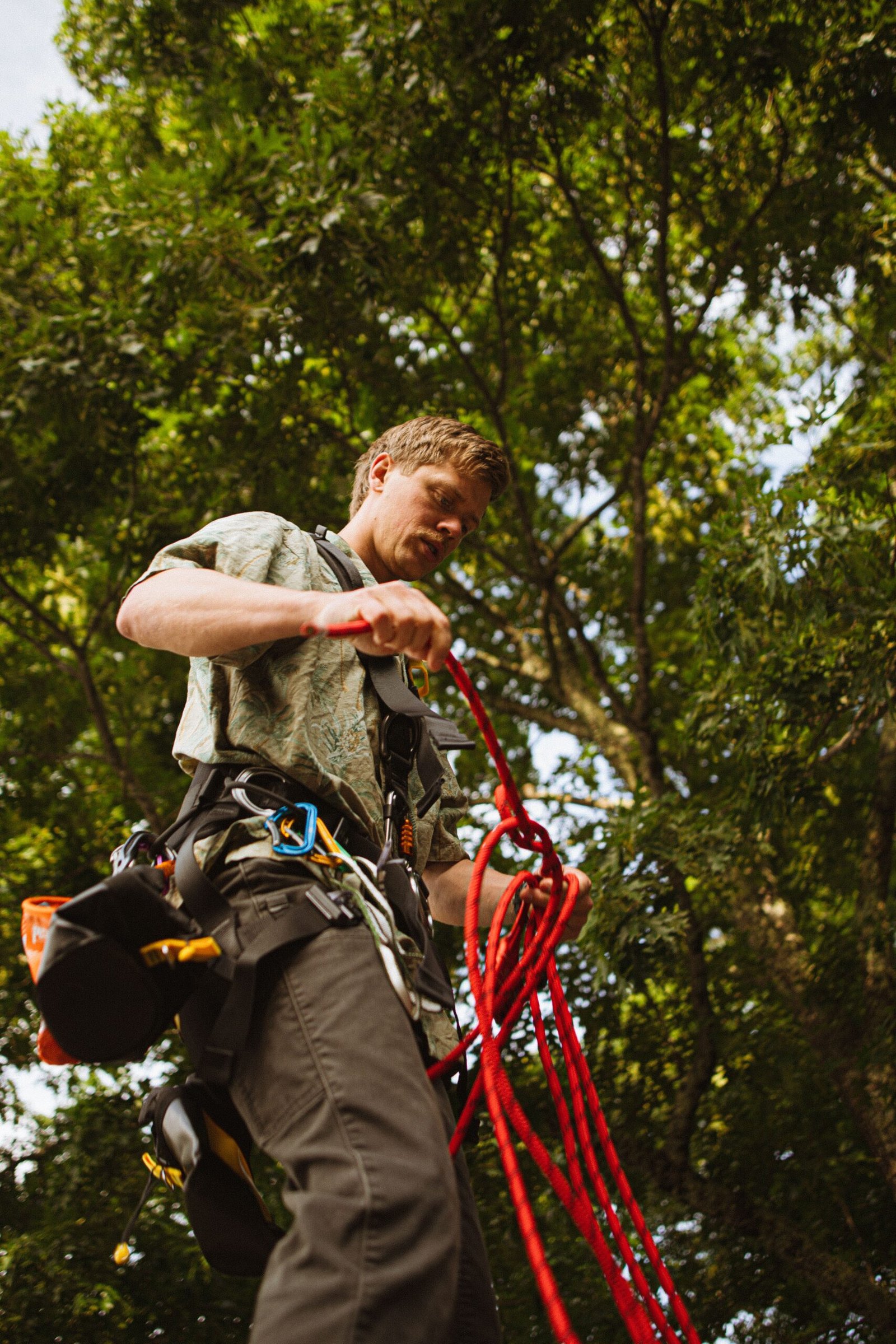 Arboriculture