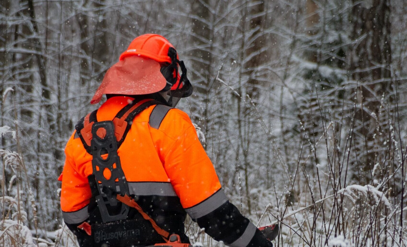 Forestry Equipment